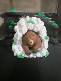 Grizzley Bear Deck Box